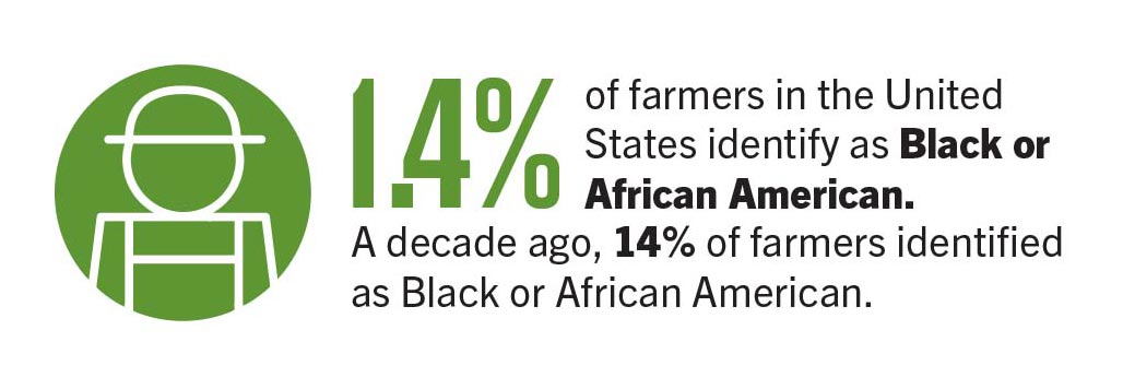 Black farmers infographic