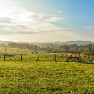 Farm landscape