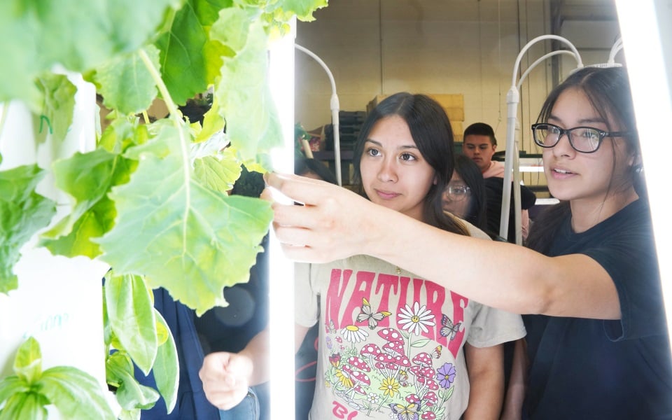 Two girls touching a green plant.